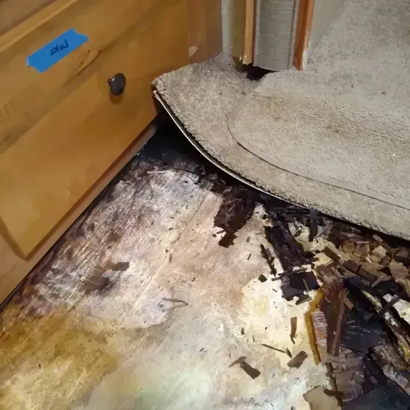 Best Wood Floor Water Damage Service in Ladd, IL